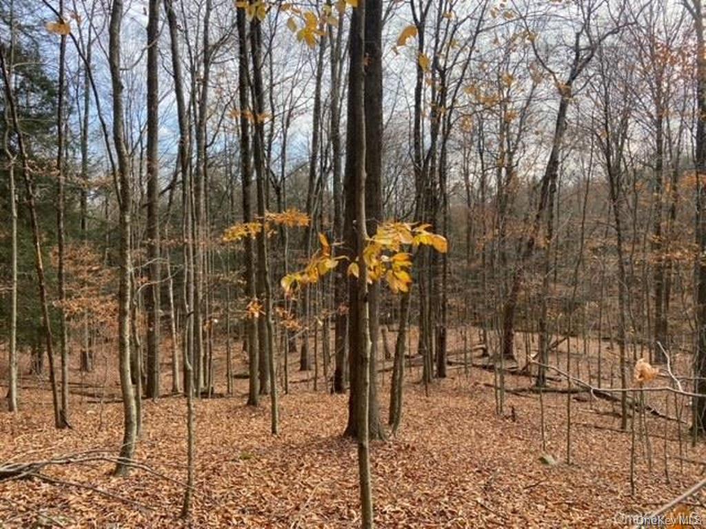 #13 photo, Glenwild Drive, Smallwood , NY 12778