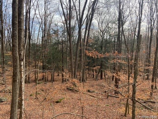 #3 photo, Glenwild Drive, Smallwood , NY 12778