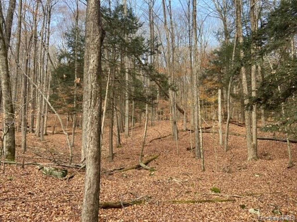 #8 photo, Glenwild Drive, Smallwood , NY 12778