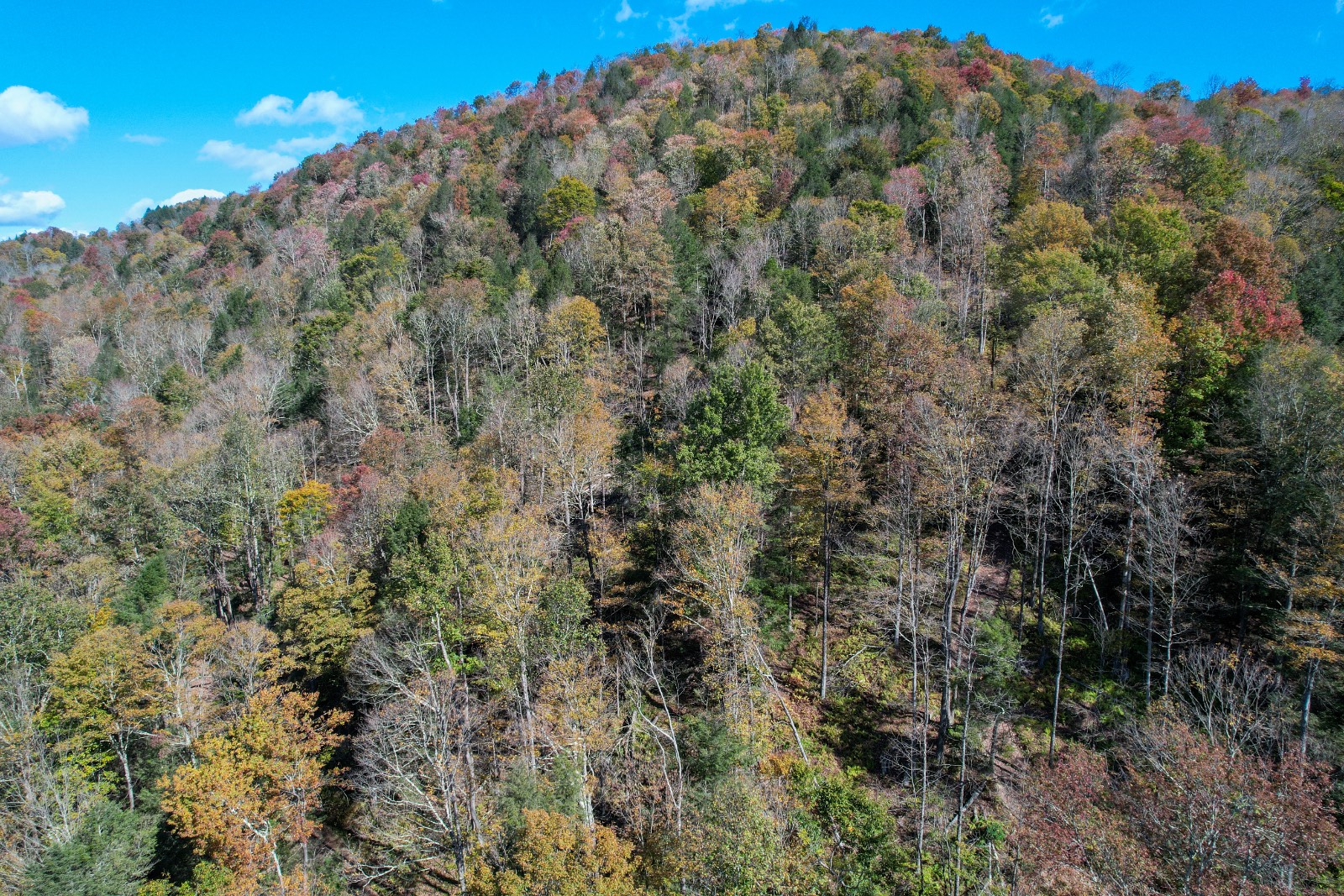 #3 photo, 14401-14485 CR-17, Hancock , NY 13783