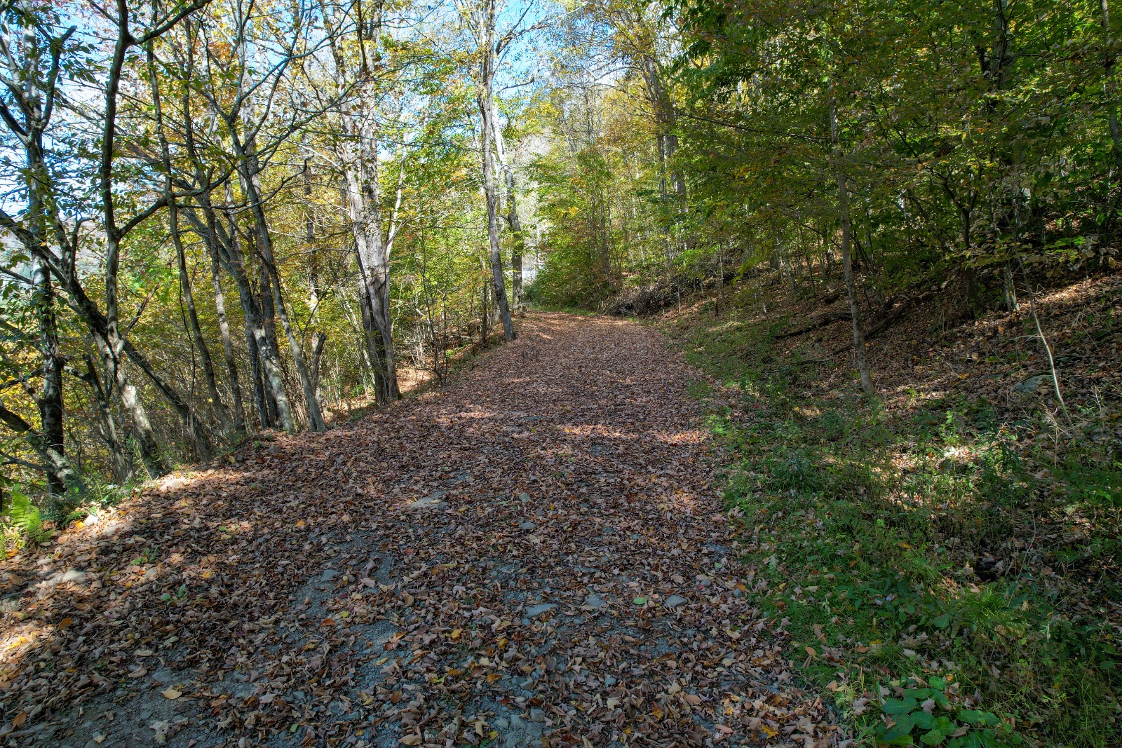 #4 photo, 14401-14485 CR-17, Hancock , NY 13783