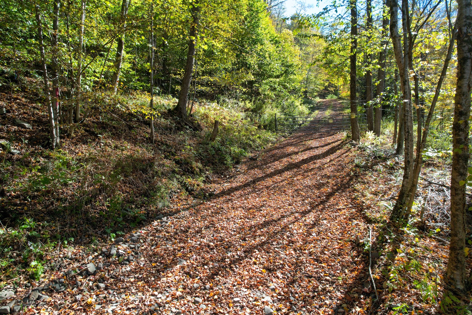 #5 photo, 14401-14485 CR-17, Hancock , NY 13783