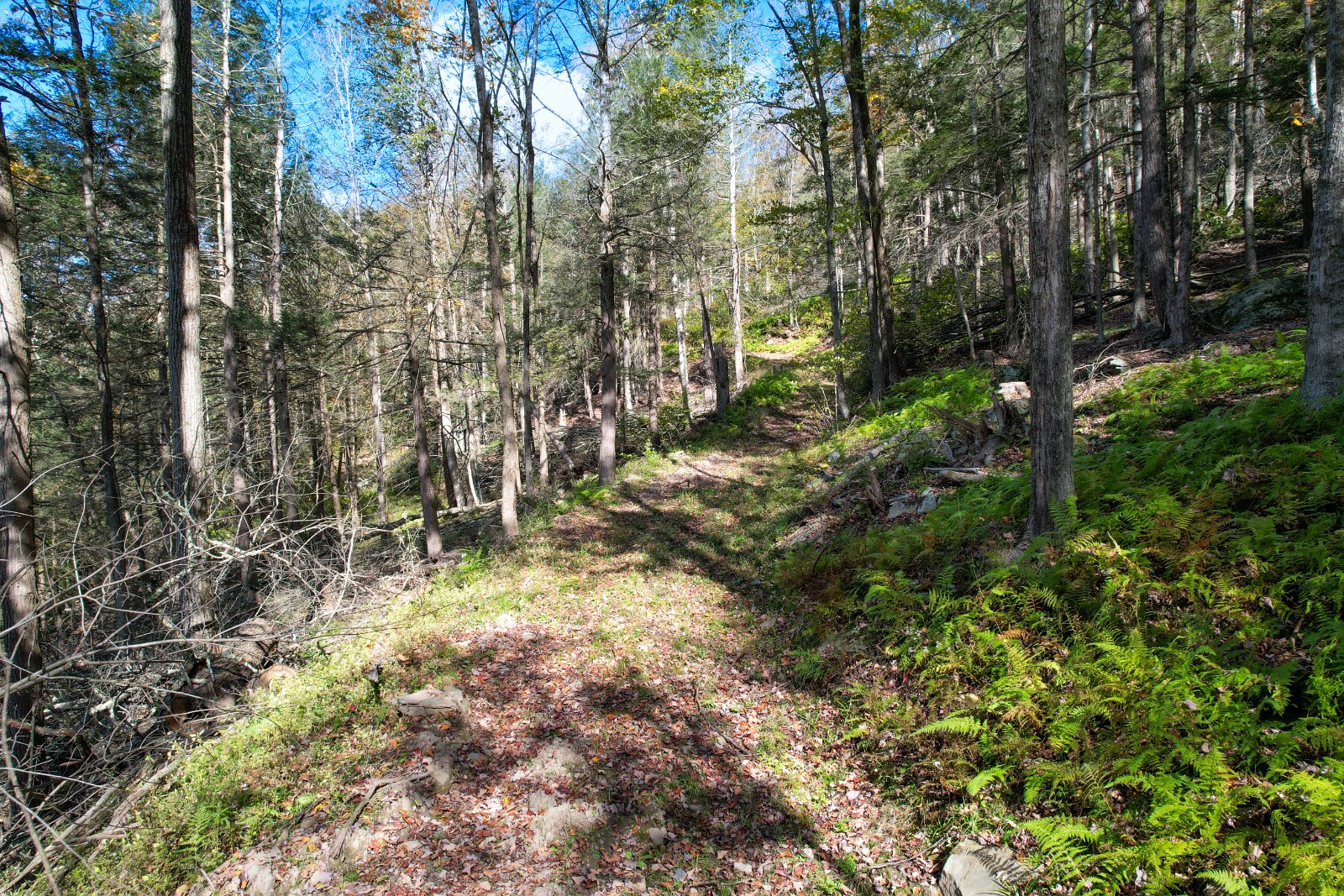 #6 photo, 14401-14485 CR-17, Hancock , NY 13783