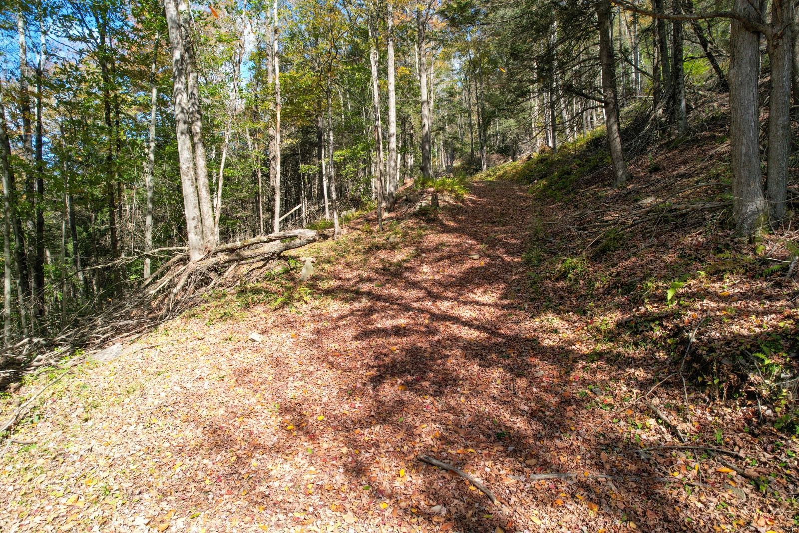 #7 photo, 14401-14485 CR-17, Hancock , NY 13783