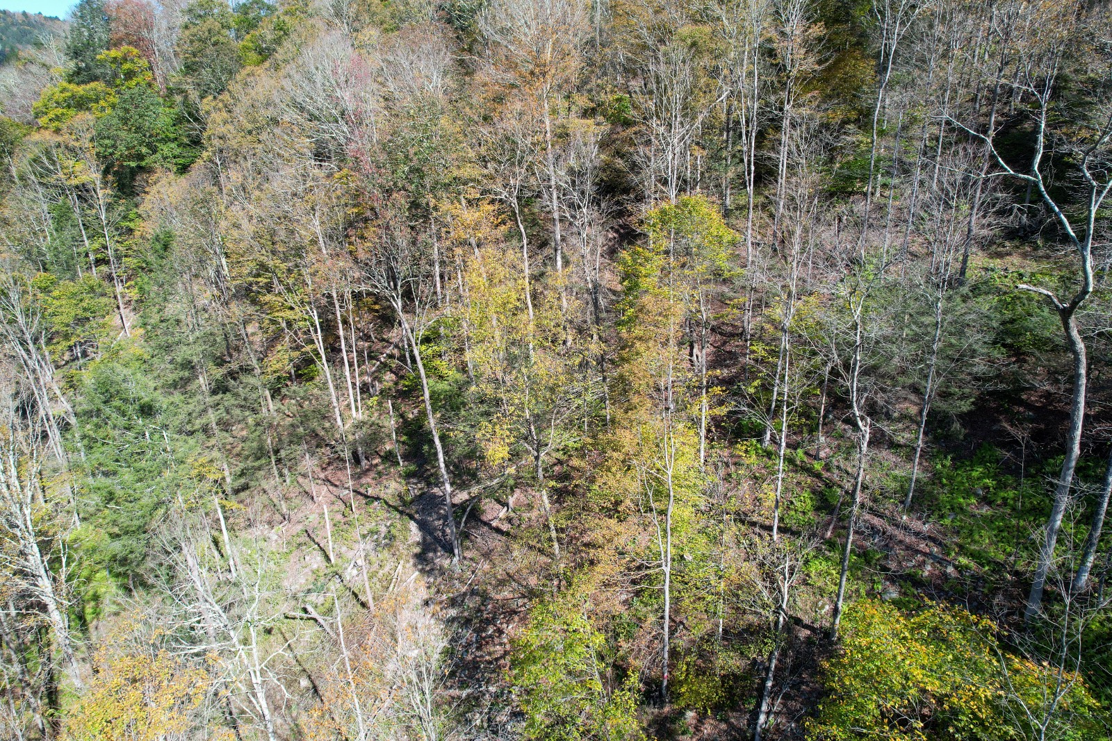 #9 photo, 14401-14485 CR-17, Hancock , NY 13783