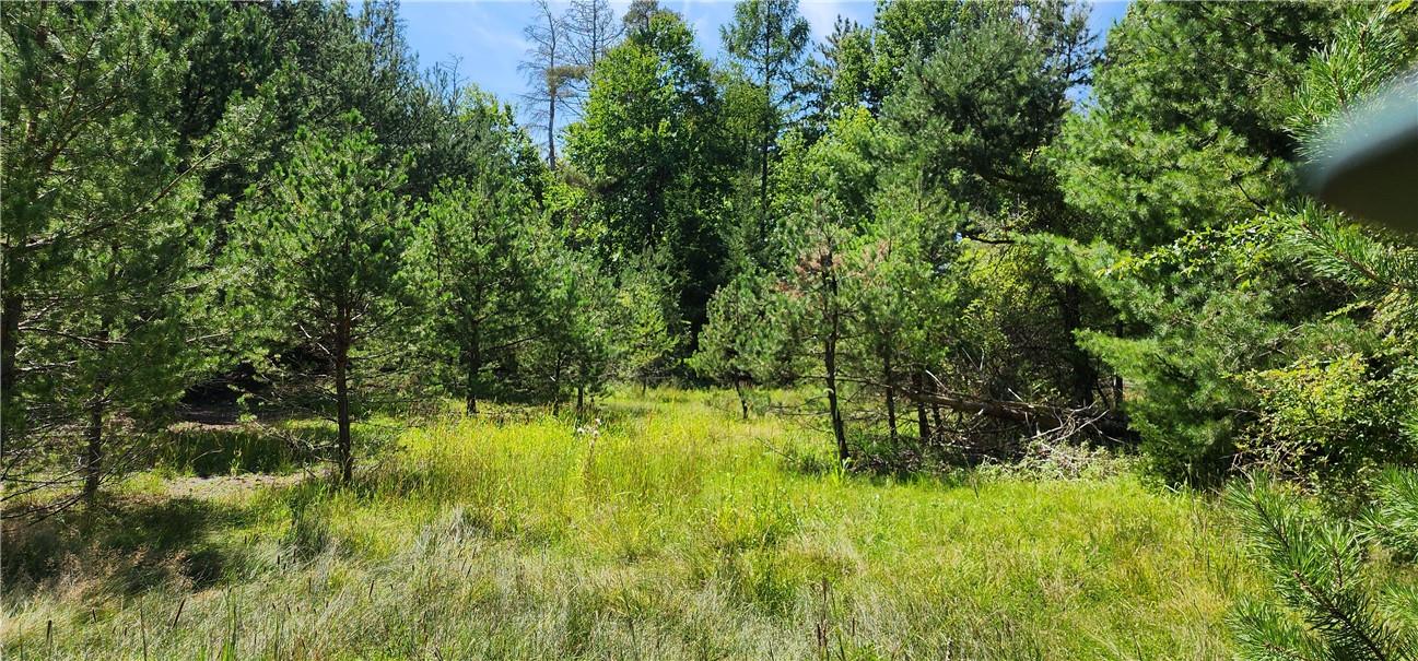 #10 photo, Marsh Road Tr 83 Road, Glen Wild , NY 12738