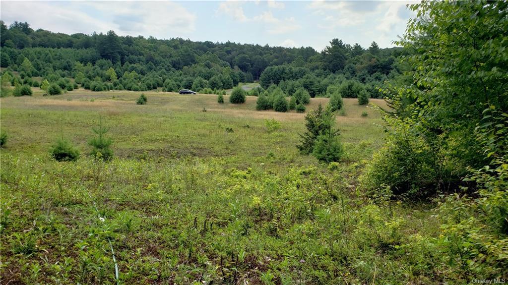 #12 photo, Marsh Road Tr 83 Road, Glen Wild , NY 12738