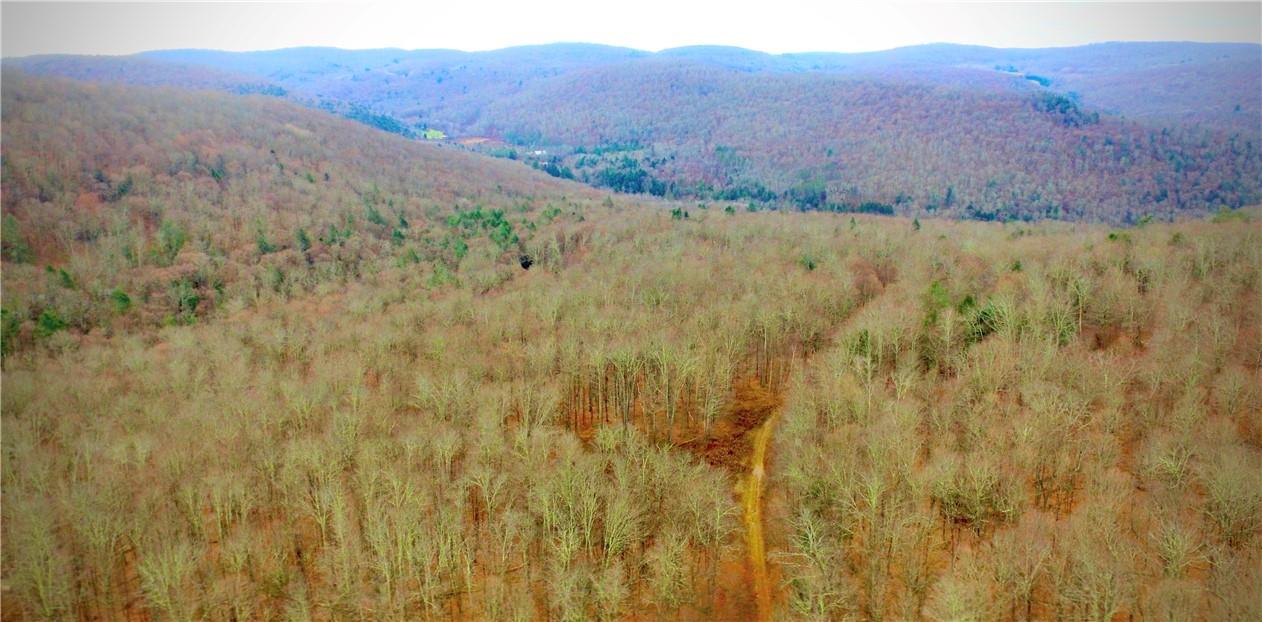 #11 photo, Petersen Road, Hancock , NY 13783