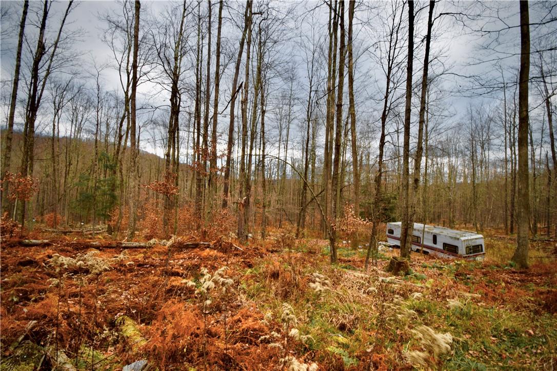 #14 photo, Petersen Road, Hancock , NY 13783