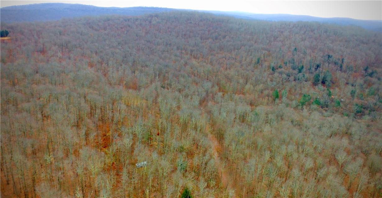 #15 photo, Petersen Road, Hancock , NY 13783