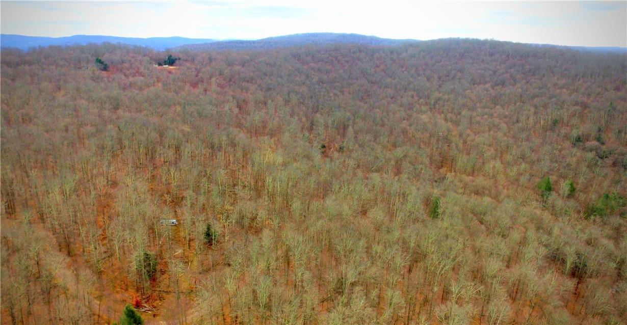 #17 photo, Petersen Road, Hancock , NY 13783