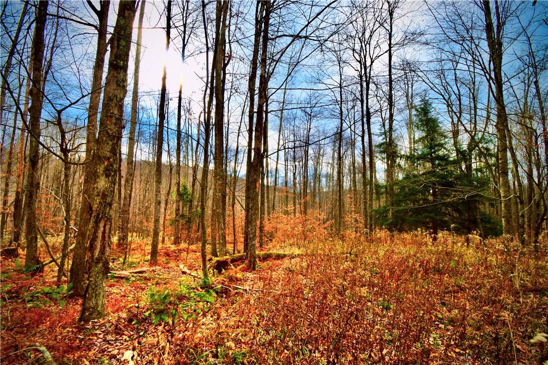 #2 photo, Petersen Road, Hancock , NY 13783