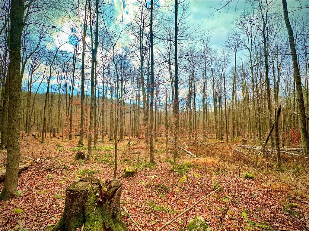 #4 photo, Petersen Road, Hancock , NY 13783