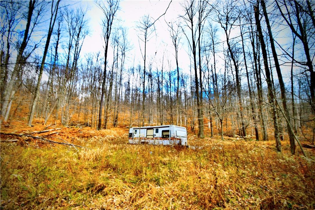 #8 photo, Petersen Road, Hancock , NY 13783