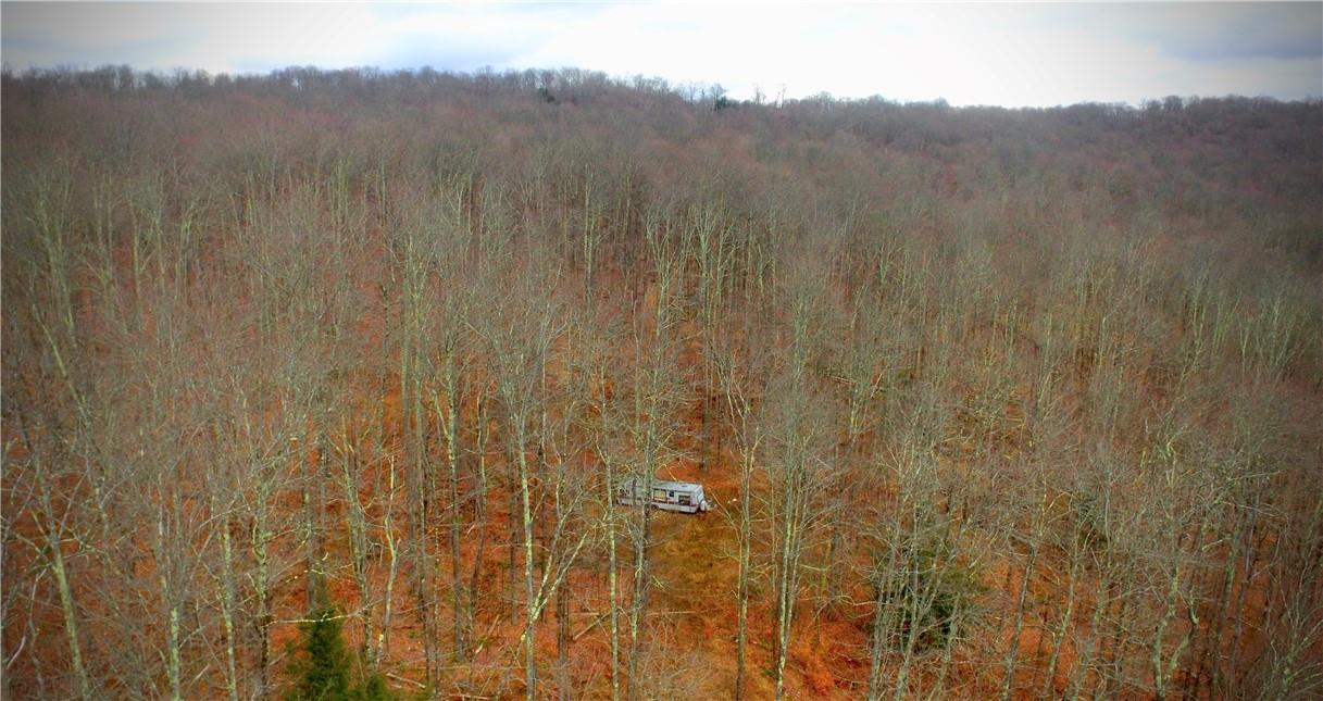 #9 photo, Petersen Road, Hancock , NY 13783