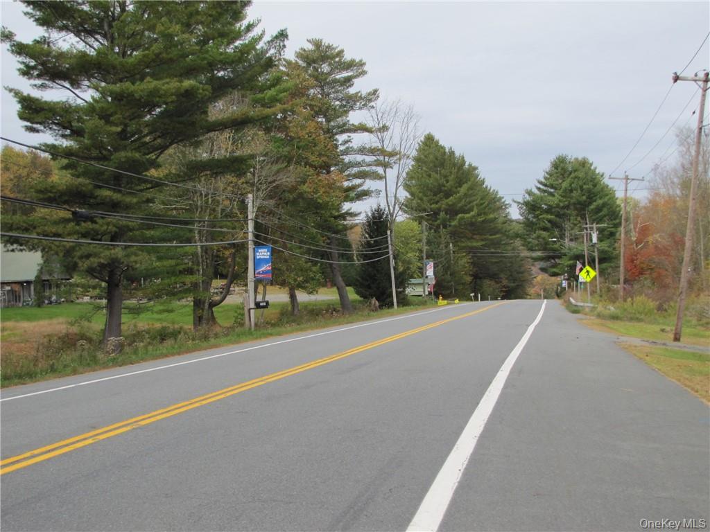 #4 photo, State Route 52, White Sulphur Spring , NY 12754