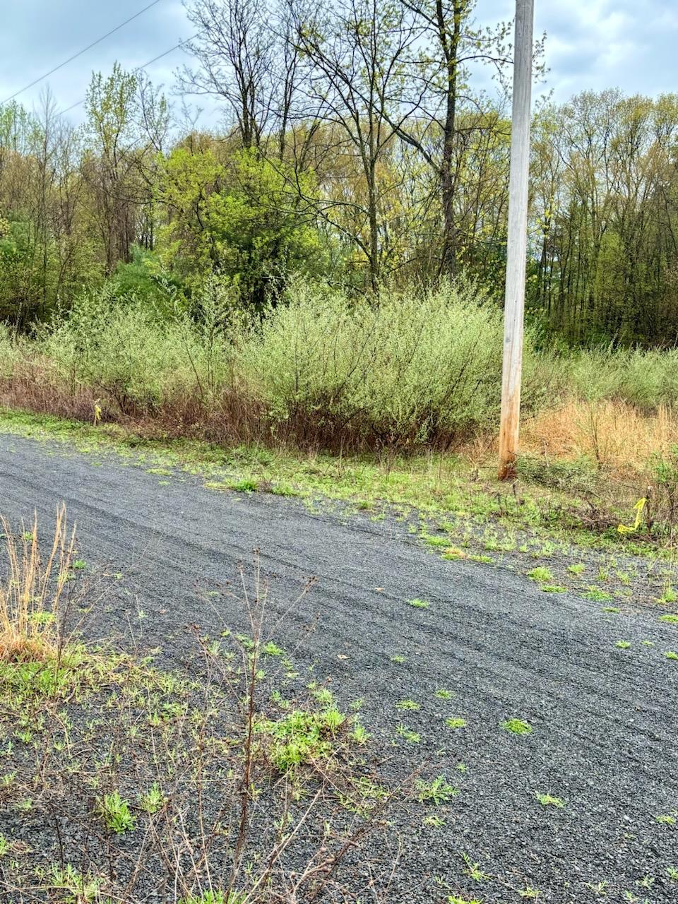 #7 photo, Ashley Drive - Lot 5, Rosendale , NY 12472