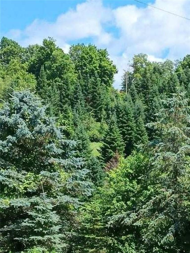 #4 photo, 4861 swiss hill, Jeffersonville , NY 12748