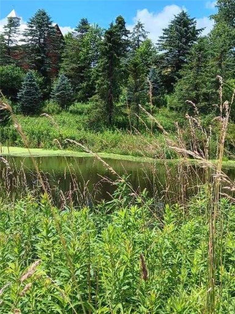 #5 photo, 4861 swiss hill, Jeffersonville , NY 12748