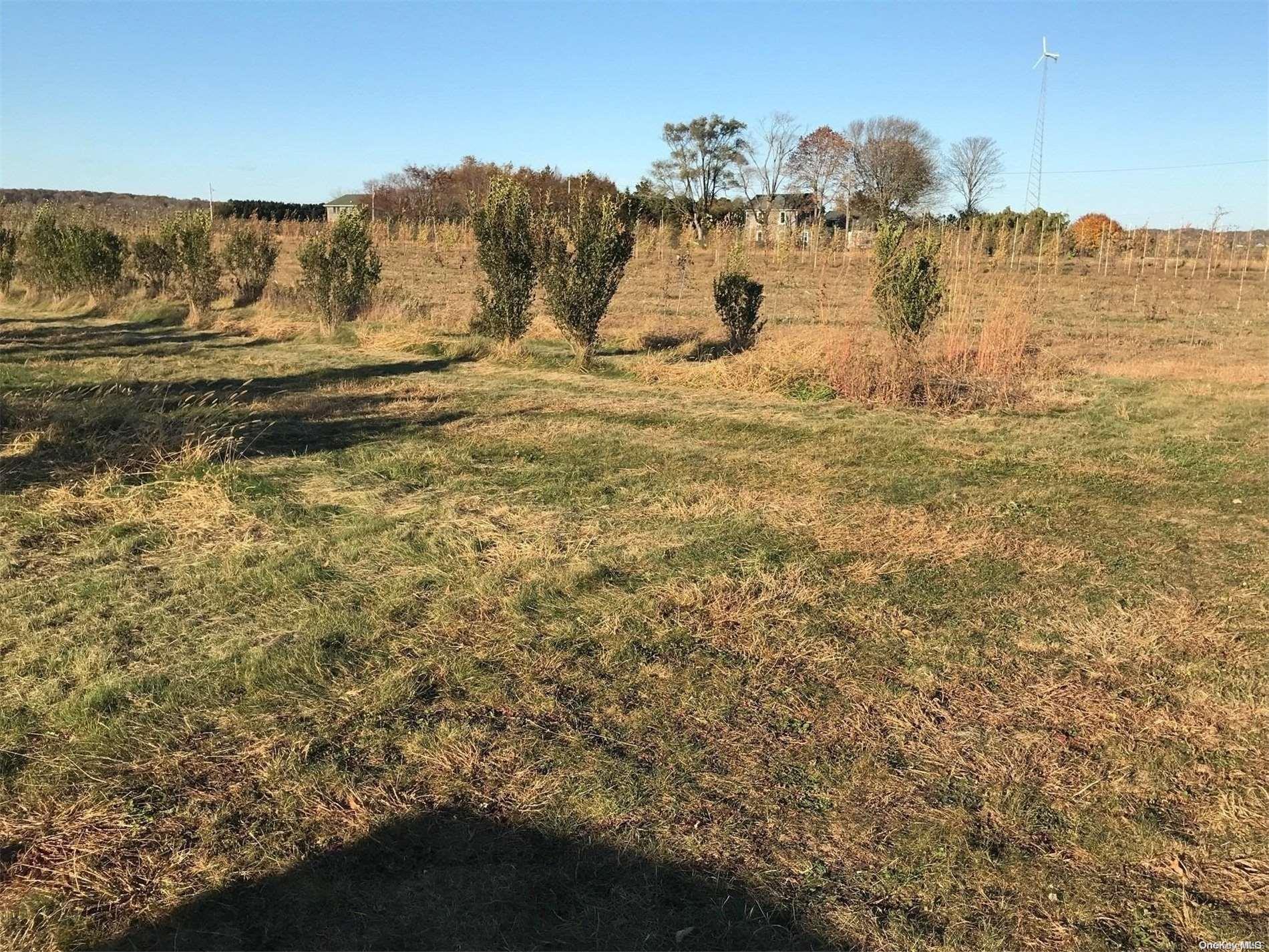 #2 photo, Horton Avenue, サフォーク郡 Riverhead , NY 11901