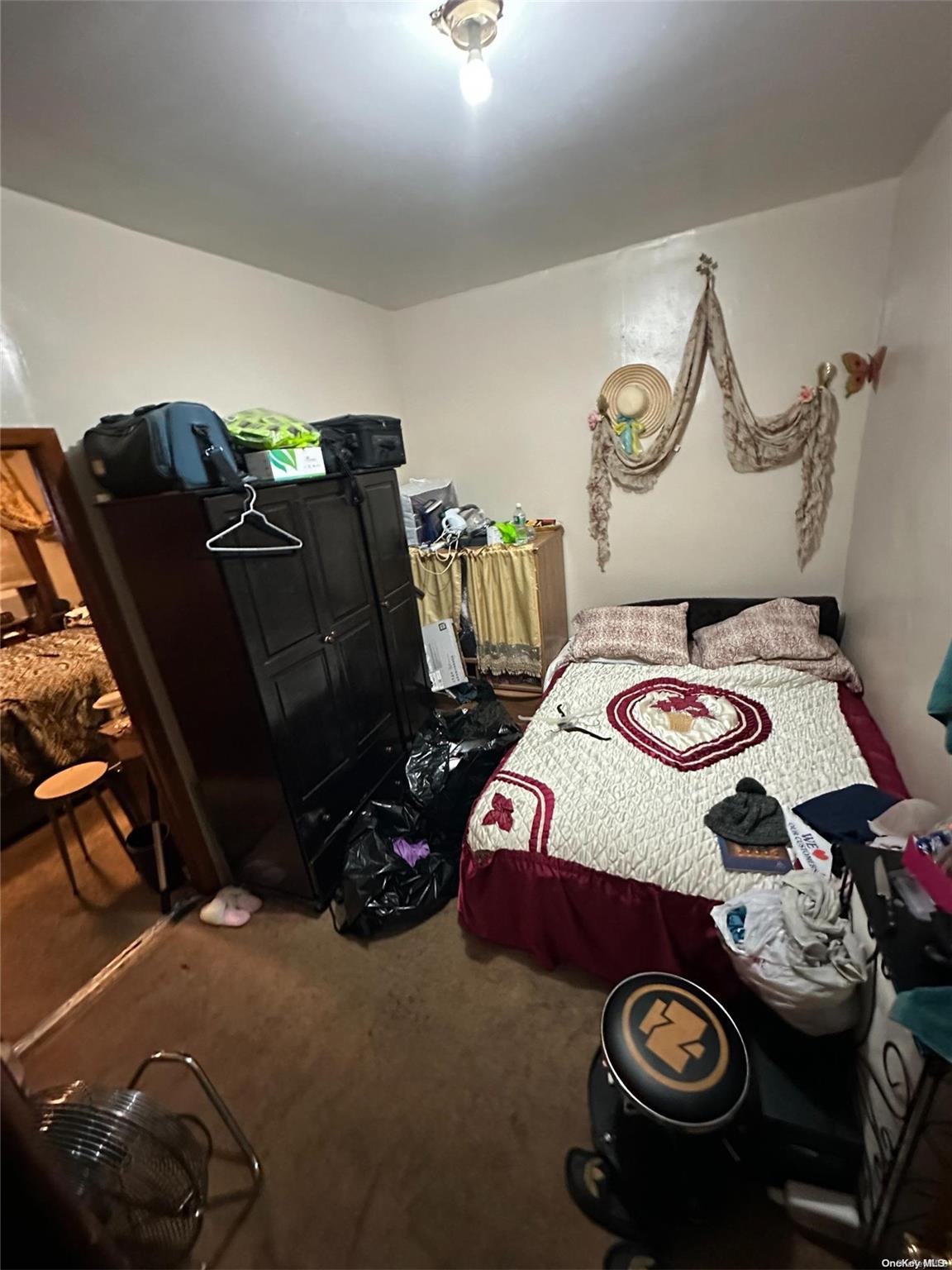 #5 photo, 229 Nichols Avenue, Brooklyn , NY 11208