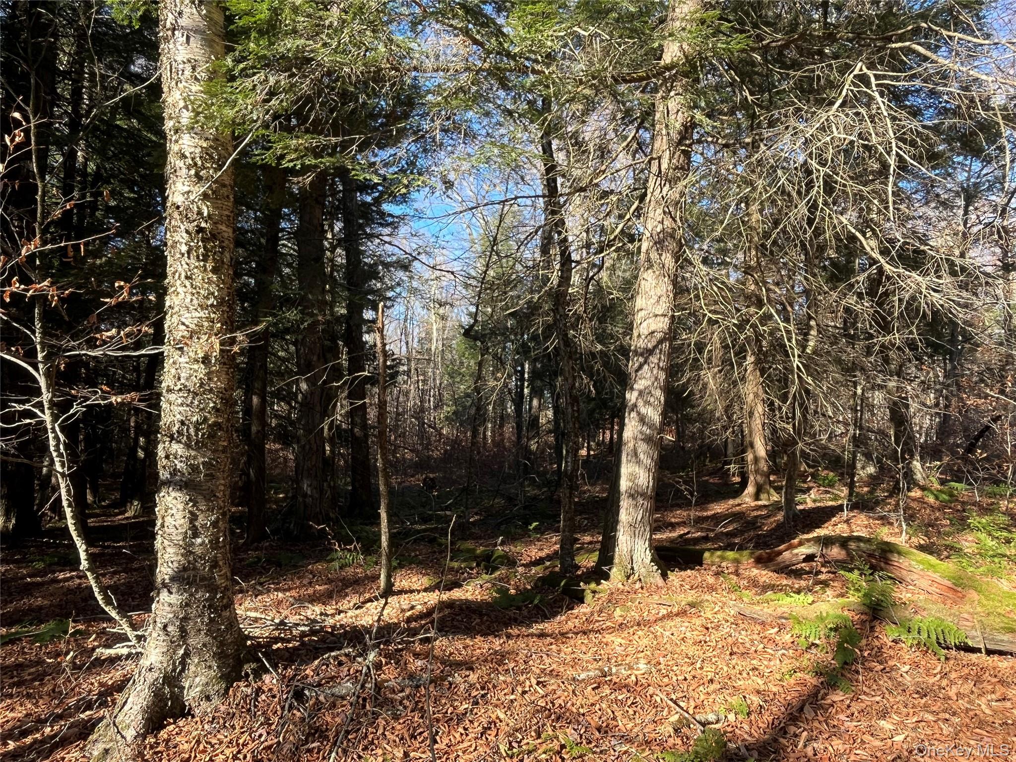 #10 photo, 4 Cold Creek Pass, Parksville , NY 12768