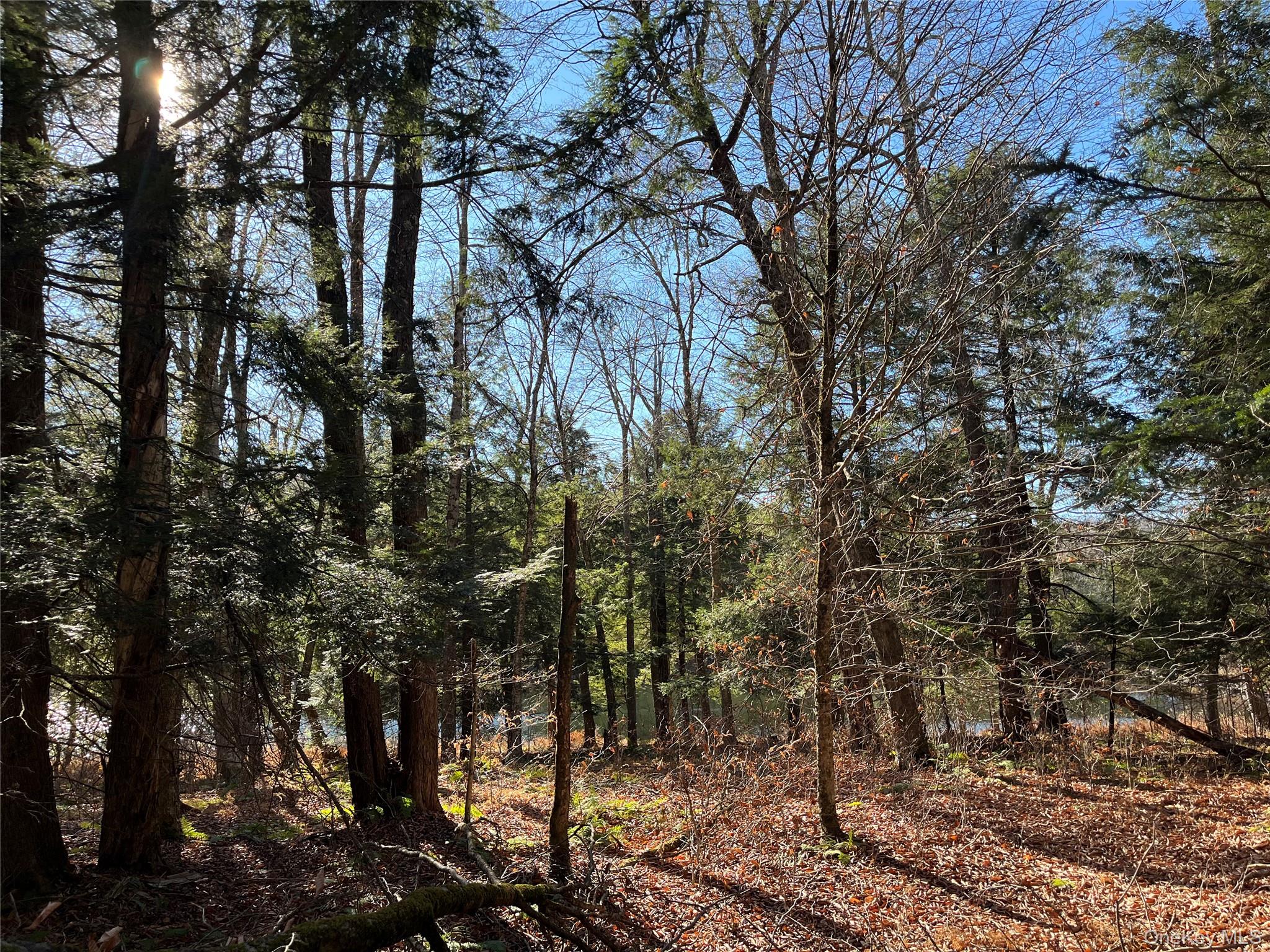 #11 photo, 4 Cold Creek Pass, Parksville , NY 12768