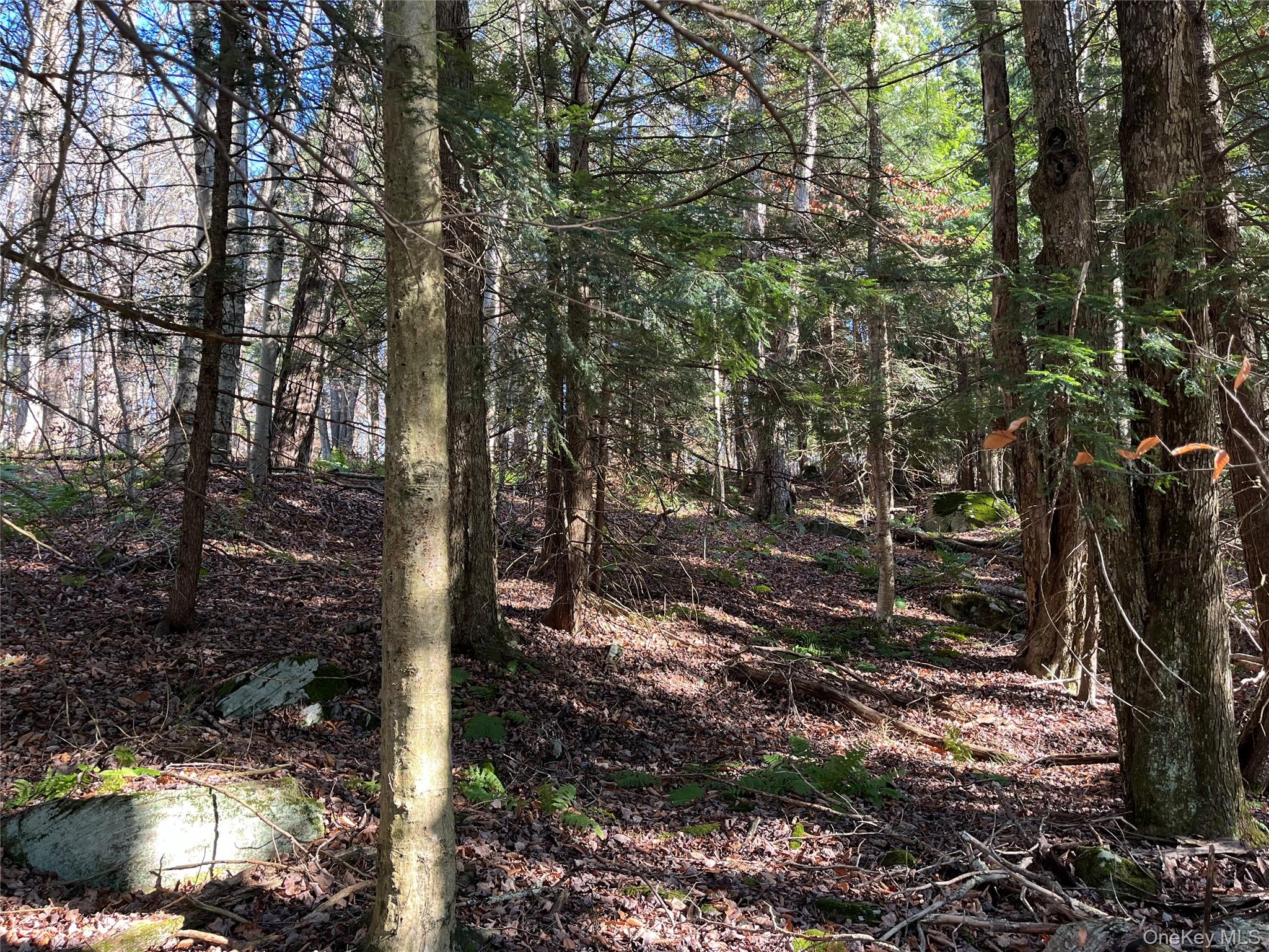 #12 photo, 4 Cold Creek Pass, Parksville , NY 12768