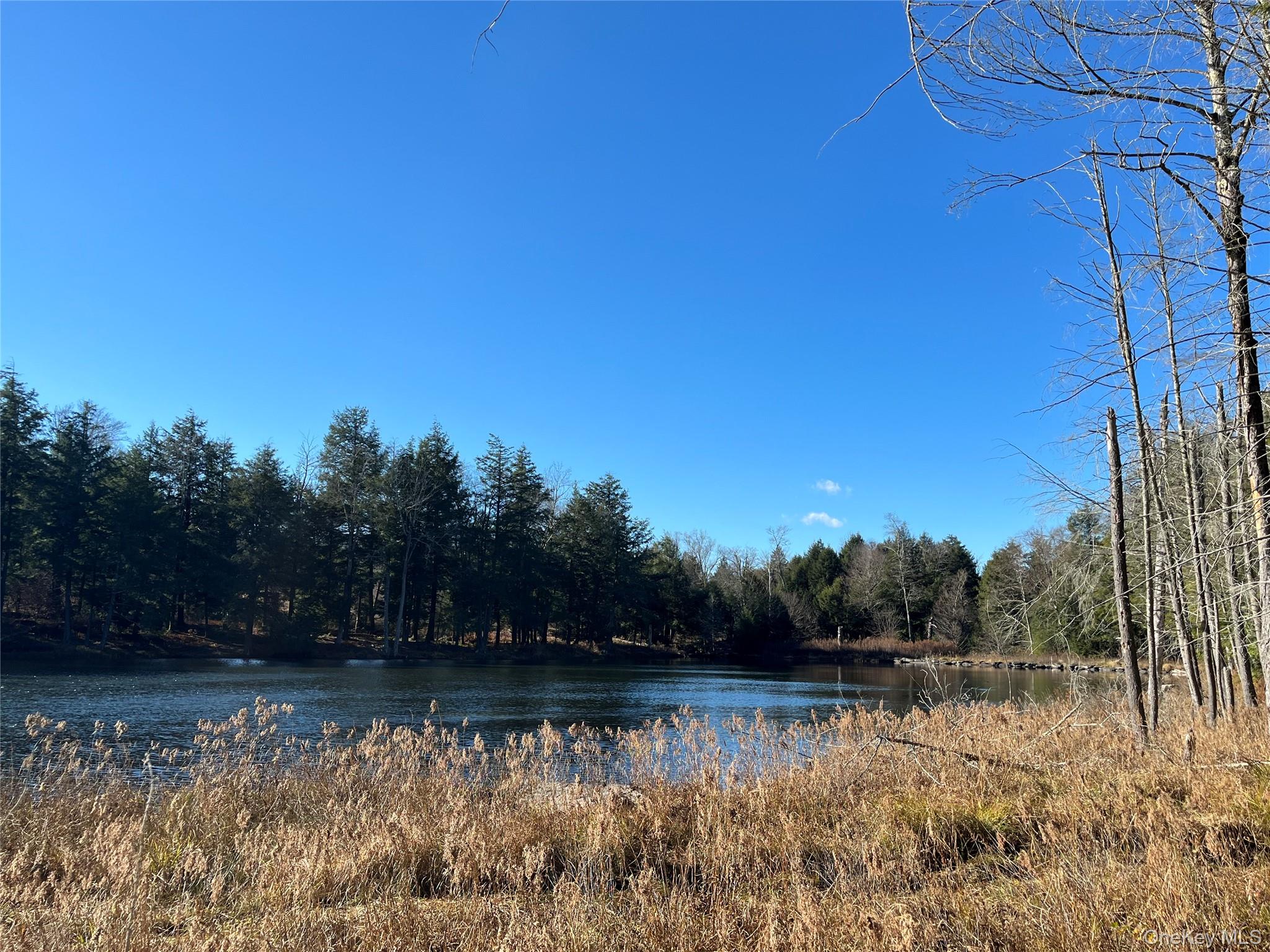 #13 photo, 4 Cold Creek Pass, Parksville , NY 12768