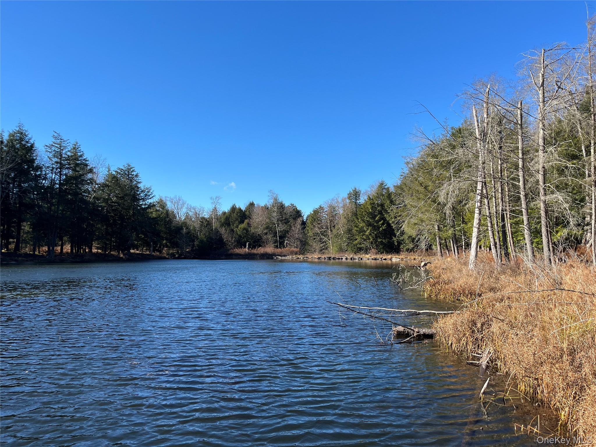 #14 photo, 4 Cold Creek Pass, Parksville , NY 12768