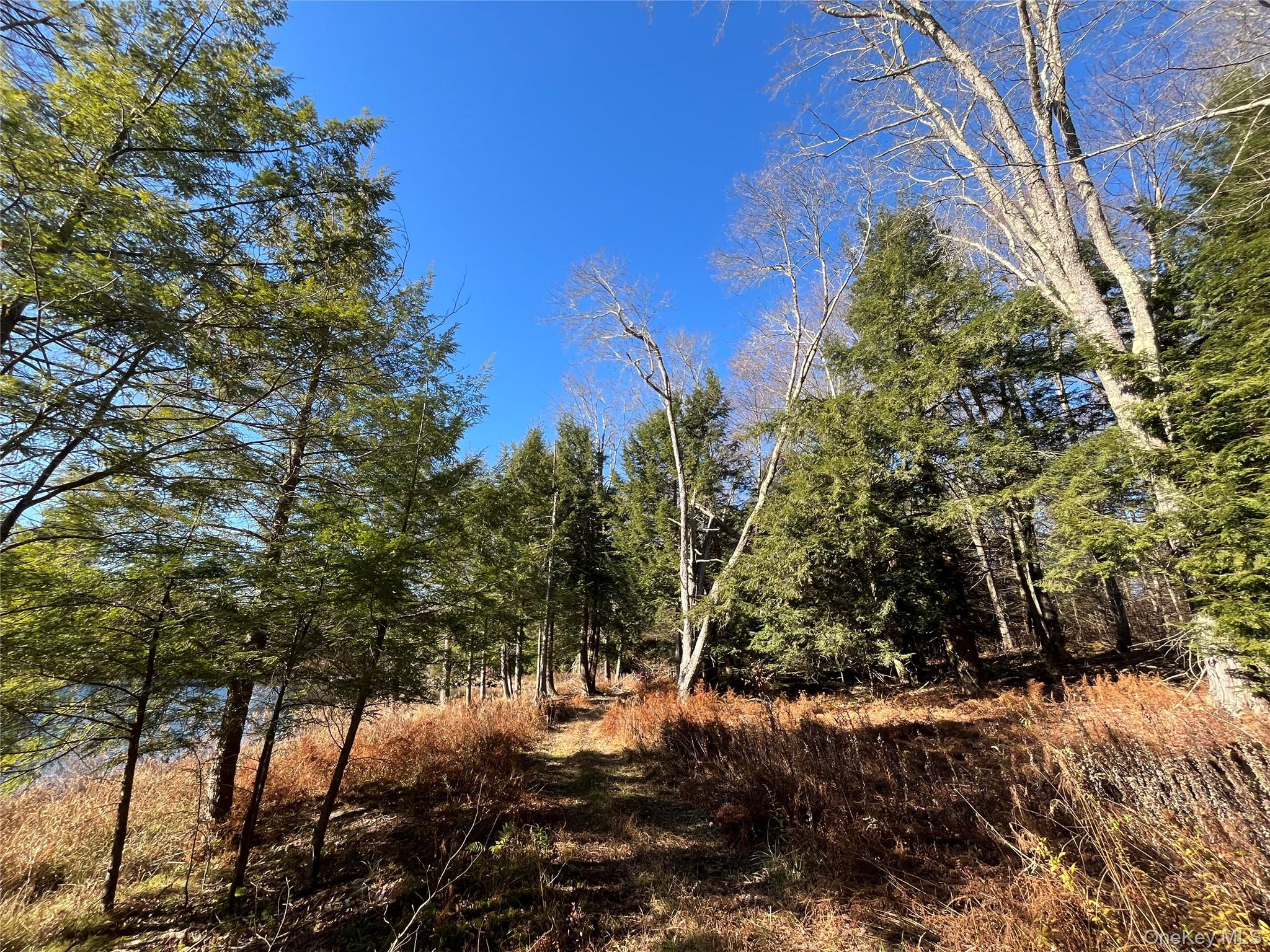 #15 photo, 4 Cold Creek Pass, Parksville , NY 12768