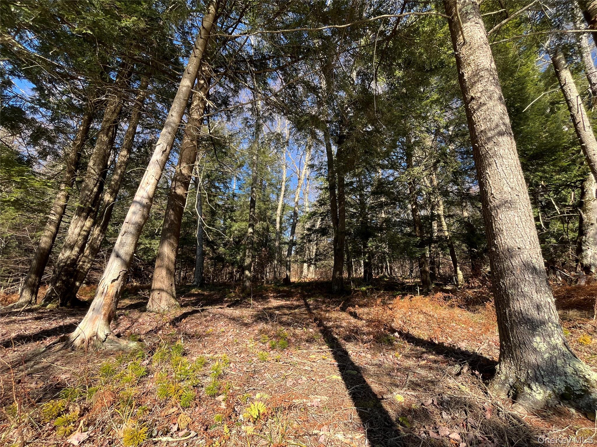 #16 photo, 4 Cold Creek Pass, Parksville , NY 12768