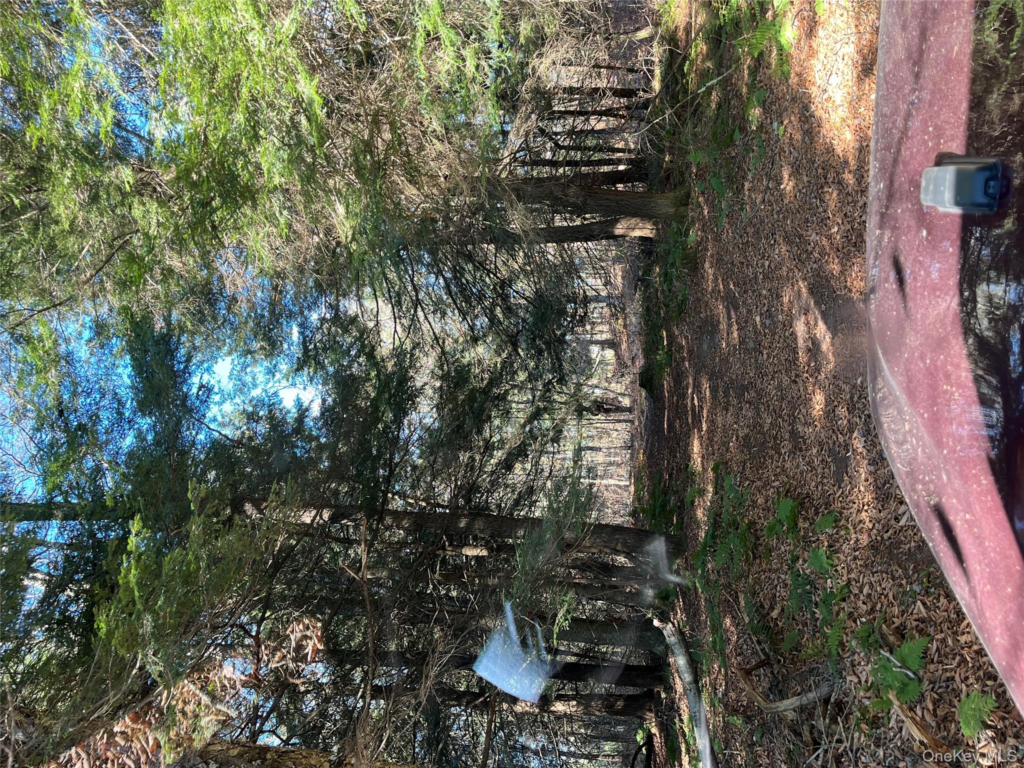 #18 photo, 4 Cold Creek Pass, Parksville , NY 12768