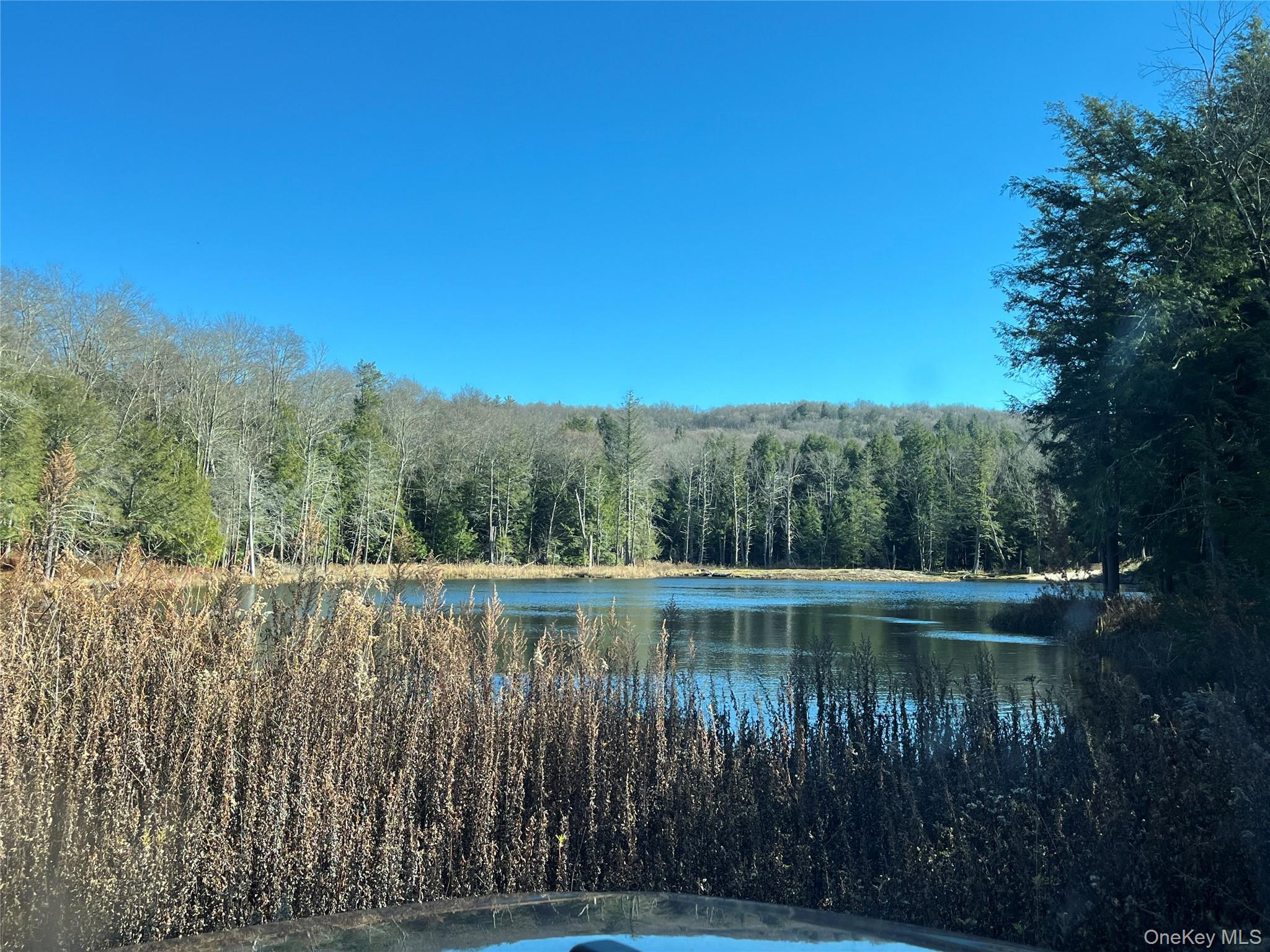 #2 photo, 4 Cold Creek Pass, Parksville , NY 12768