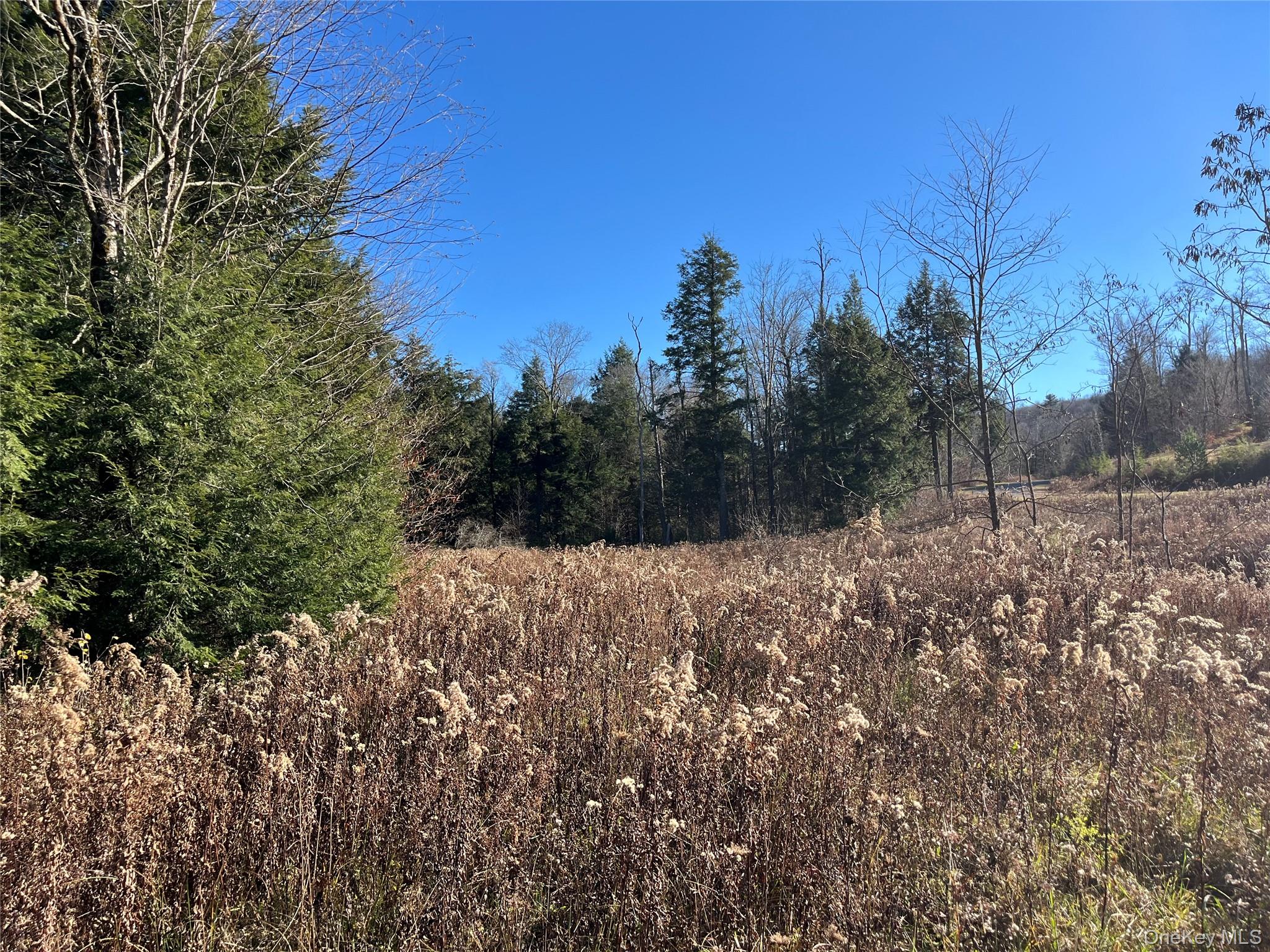 #20 photo, 4 Cold Creek Pass, Parksville , NY 12768