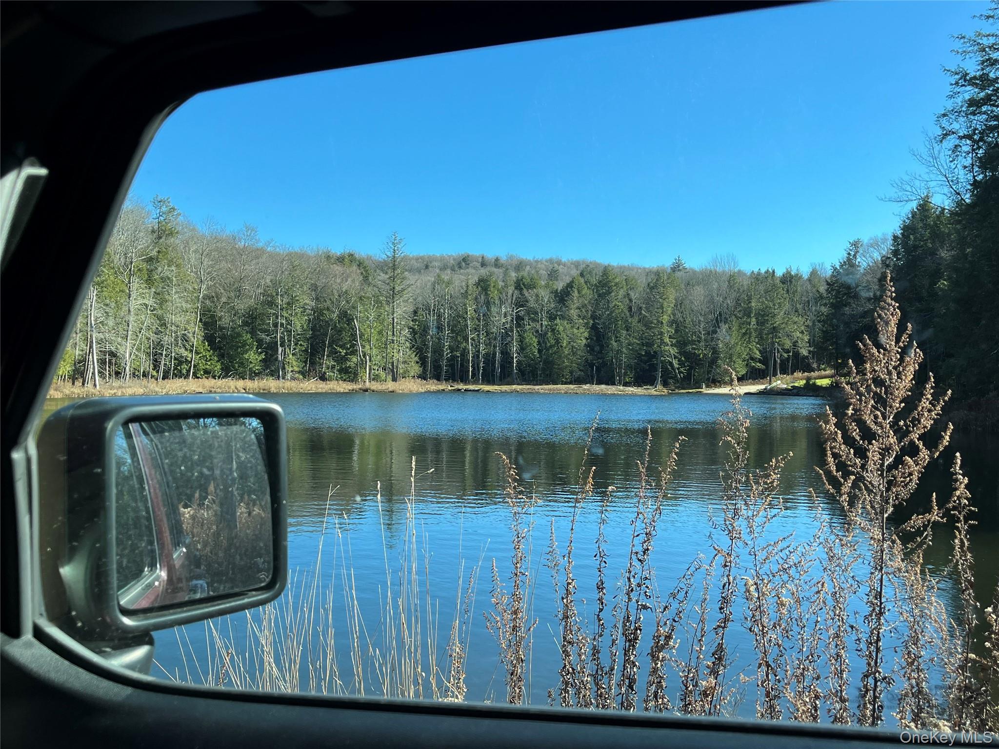 #3 photo, 4 Cold Creek Pass, Parksville , NY 12768