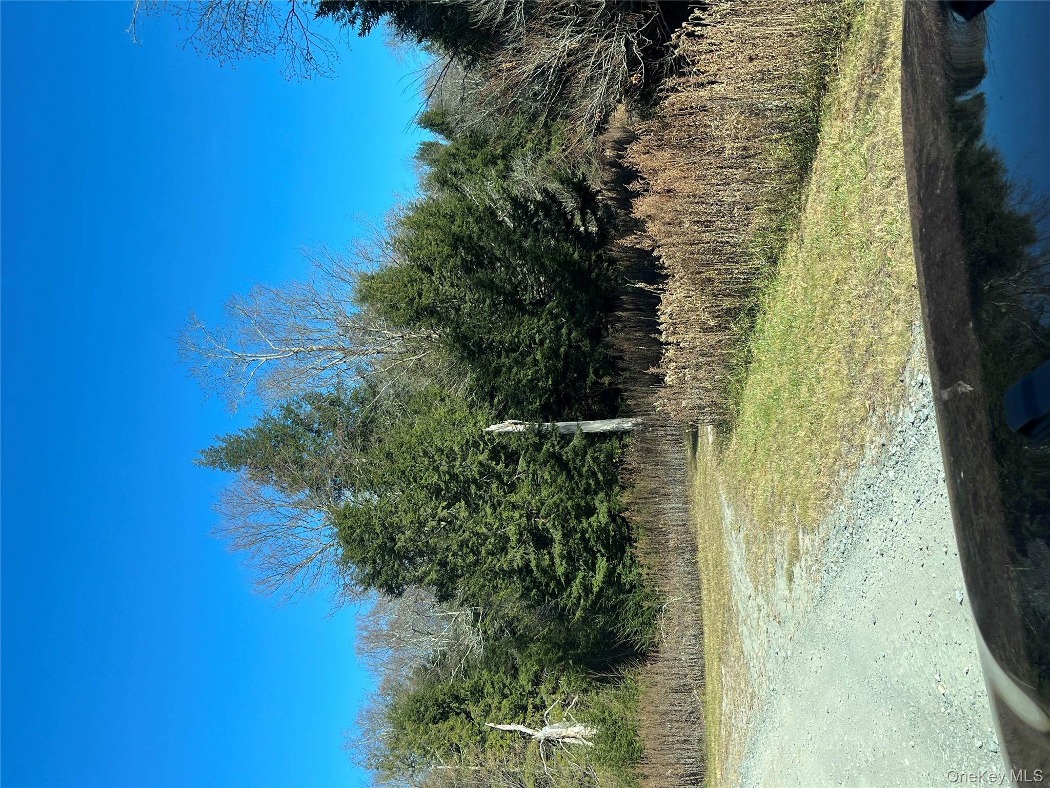 #7 photo, 4 Cold Creek Pass, Parksville , NY 12768