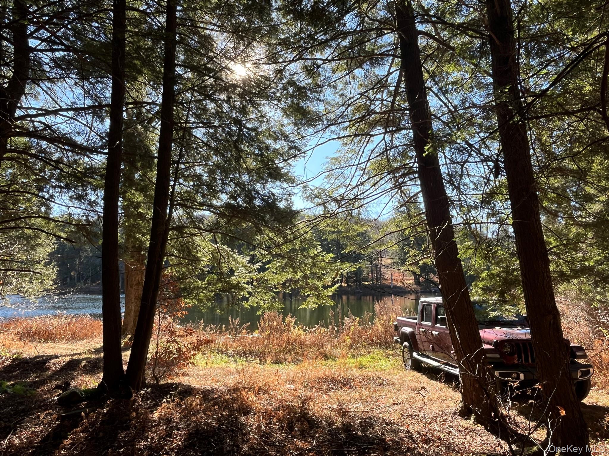 #8 photo, 4 Cold Creek Pass, Parksville , NY 12768