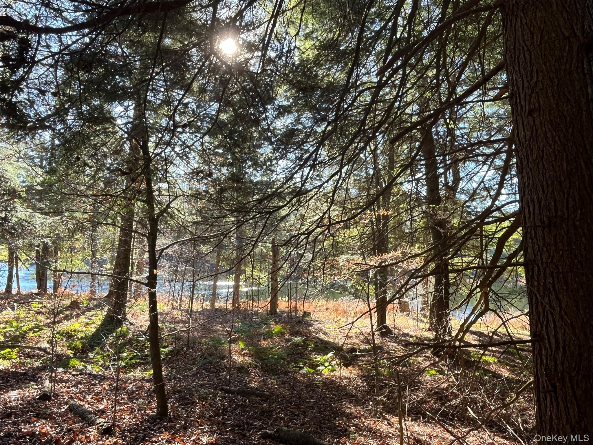 #9 photo, 4 Cold Creek Pass, Parksville , NY 12768