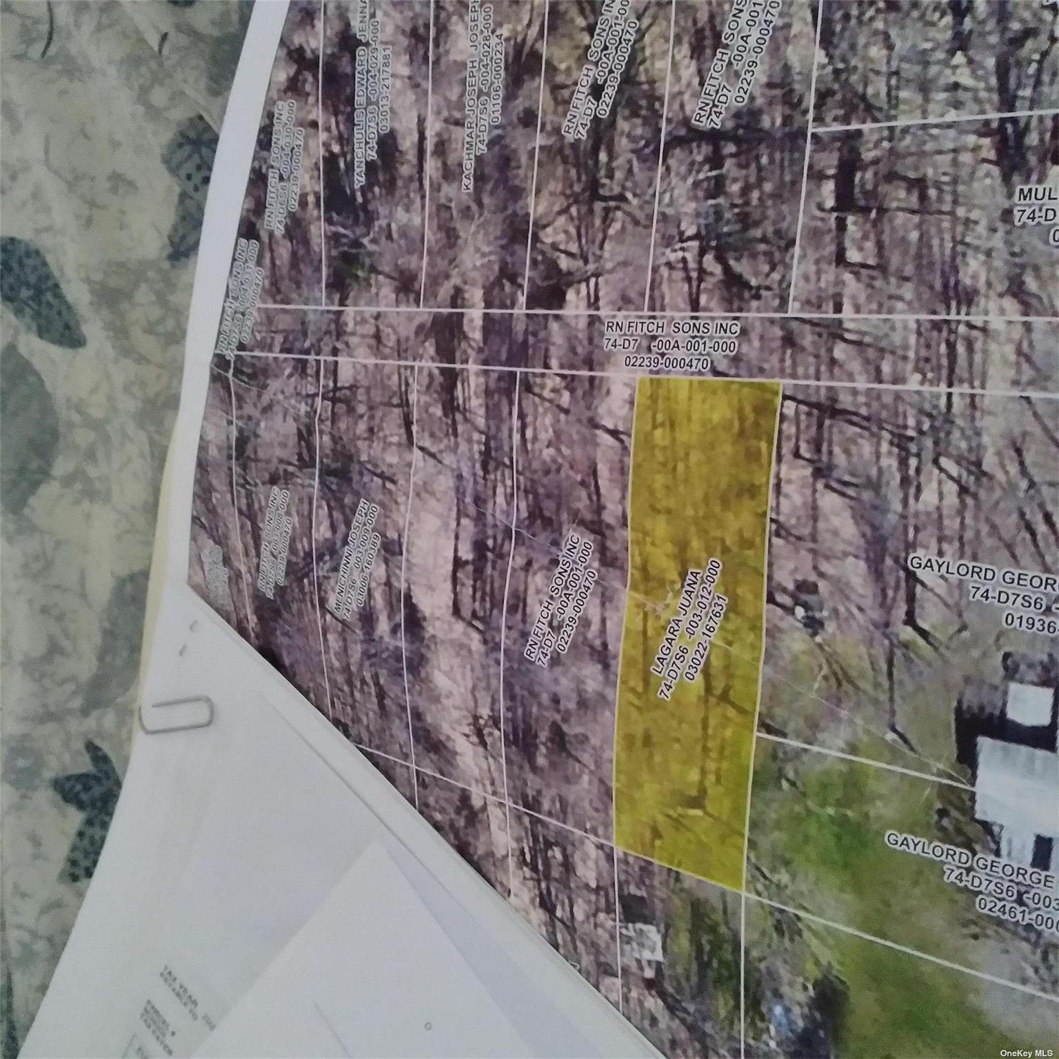 #2 photo, Rear Carpenter Rd Harveys Lake, Call Listing Agent , PA 18612