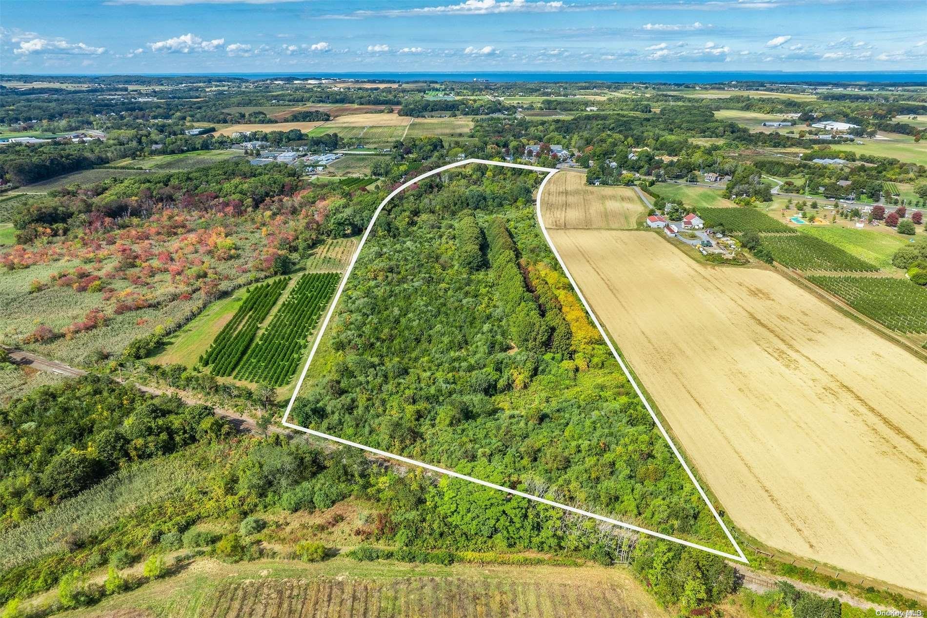 #2 photo, 1117 Main Road, Riverhead , NY 11901