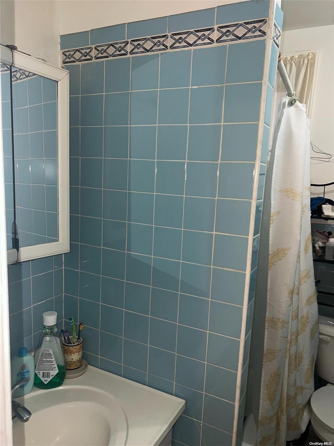 #19 photo, 722 Miller Avenue, ブルックリン区 East New York , NY 11207