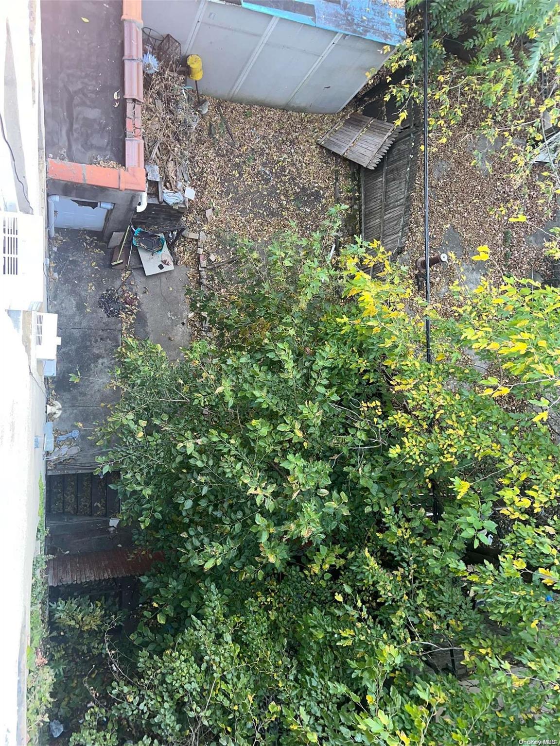 #5 photo, 722 Miller Avenue, ブルックリン区 East New York , NY 11207