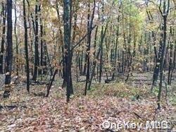 #8 photo, *County Rt 27/*Greeley Road, Ancram , NY 12521