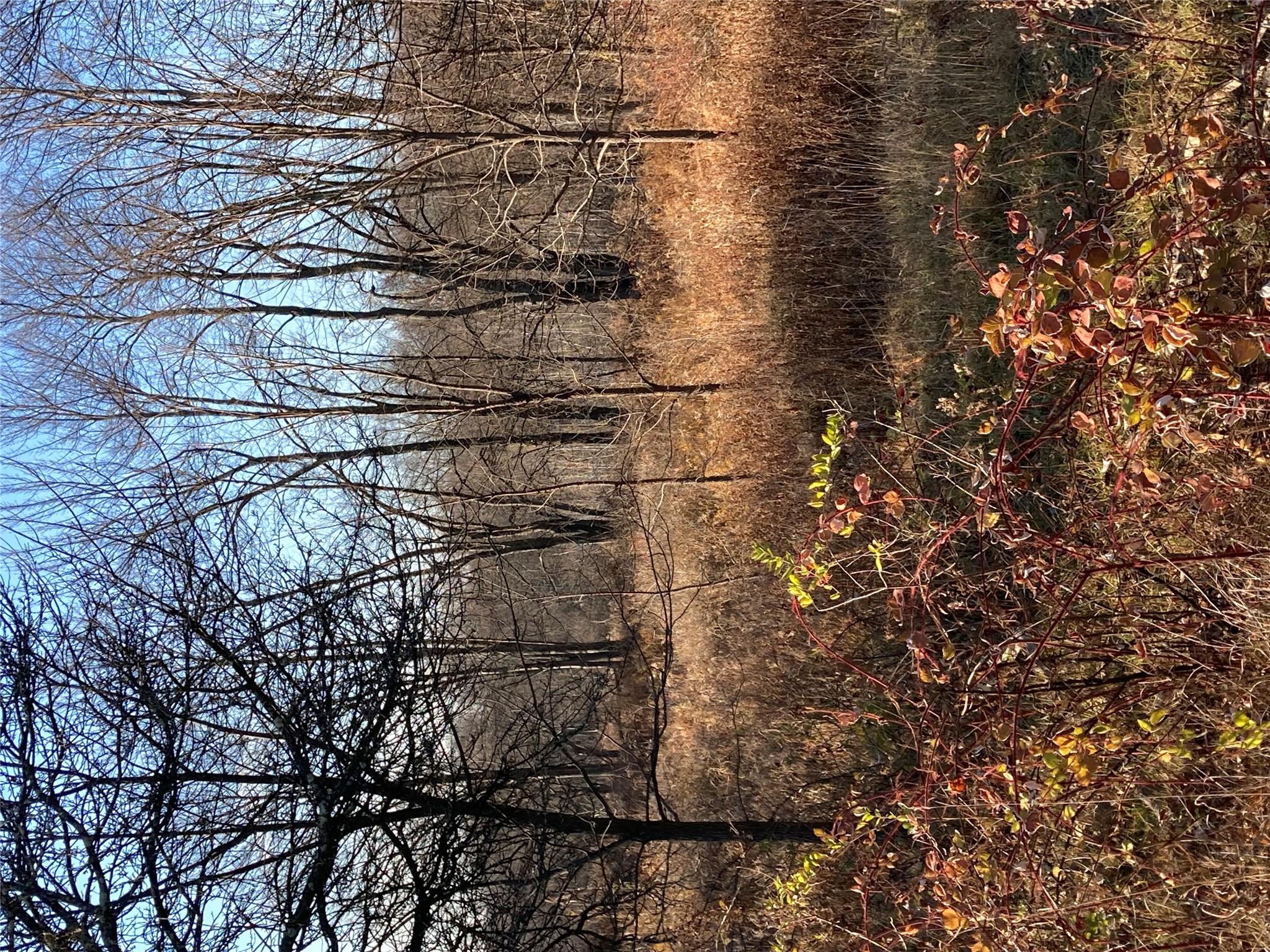 #10 photo, Pocatello Road Pocatello Road, Middletown , NY 12566