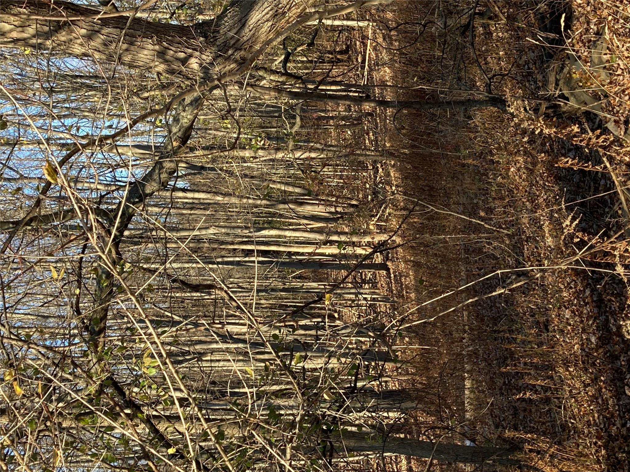 #11 photo, Pocatello Road Pocatello Road, Middletown , NY 12566