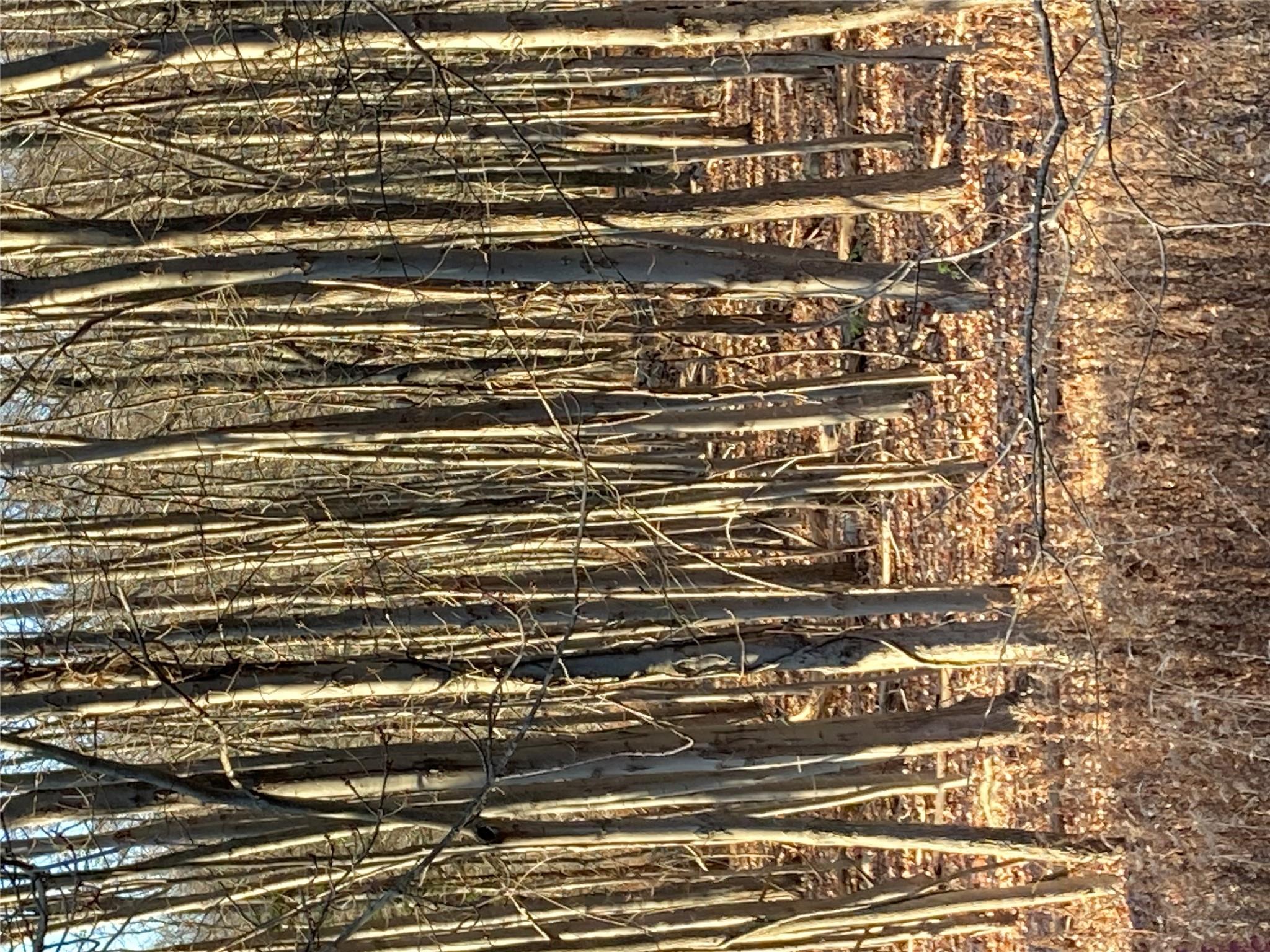 #12 photo, Pocatello Road Pocatello Road, Middletown , NY 12566