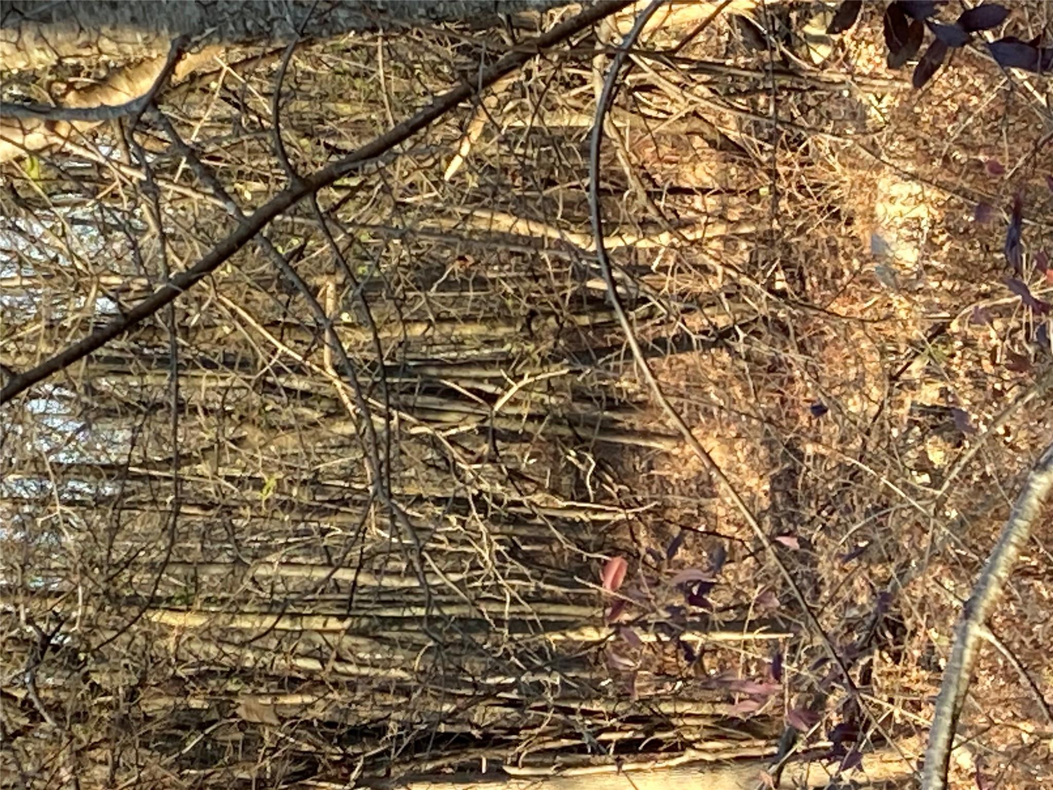 #13 photo, Pocatello Road Pocatello Road, Middletown , NY 12566