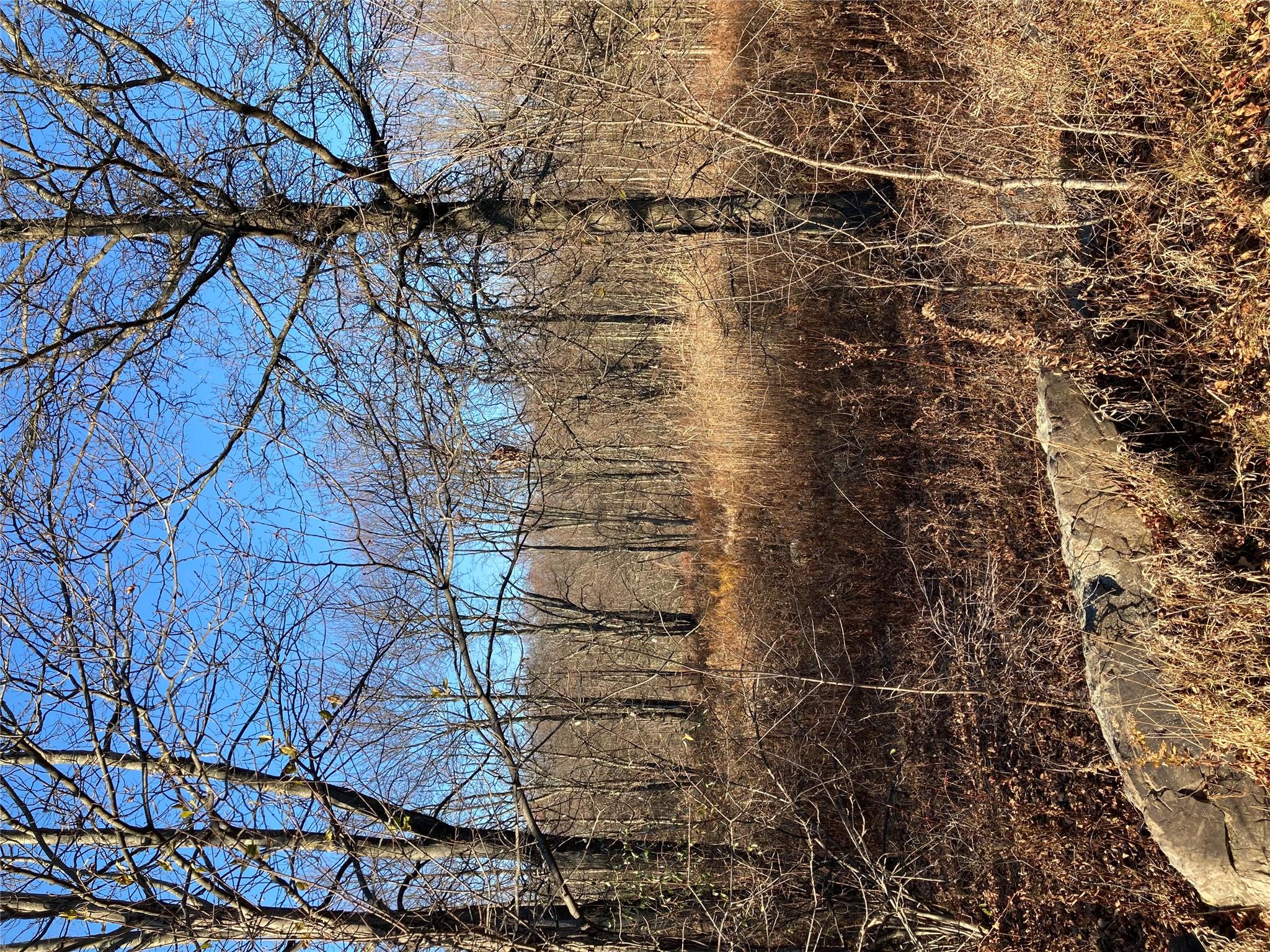 #7 photo, Pocatello Road Pocatello Road, Middletown , NY 12566