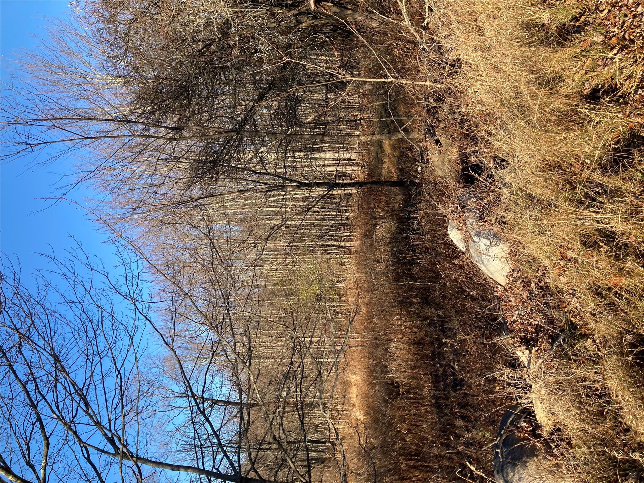 #8 photo, Pocatello Road Pocatello Road, Middletown , NY 12566